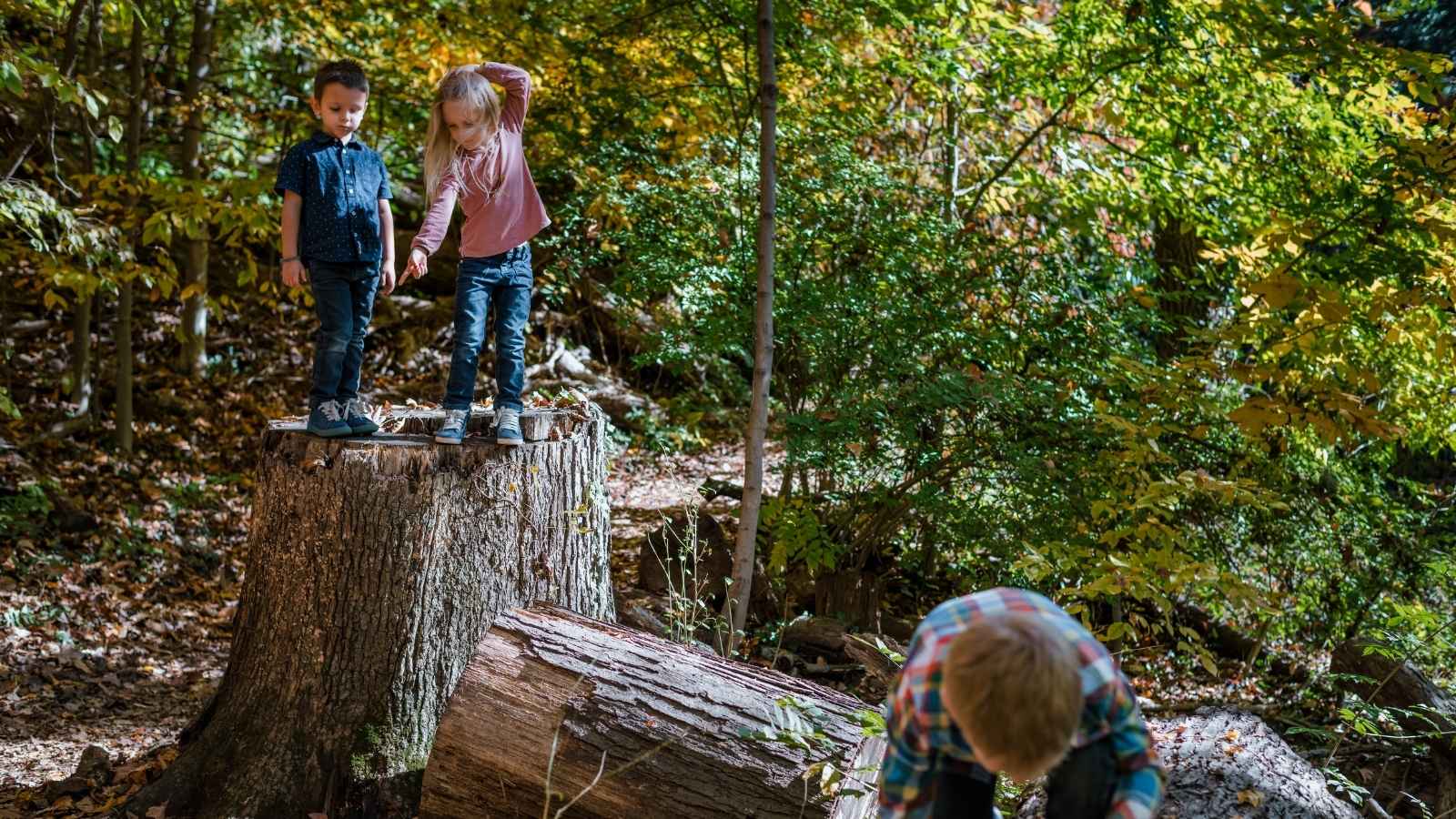 Een les volgen of toch lekker naar het bos? - Regelmatig krijgen we de vraag, of georganiseerd bewegen met jonge kinderen nou echt van belang is. In dit blog geeft Kirsten van Daelen een antwoord op deze vraag.