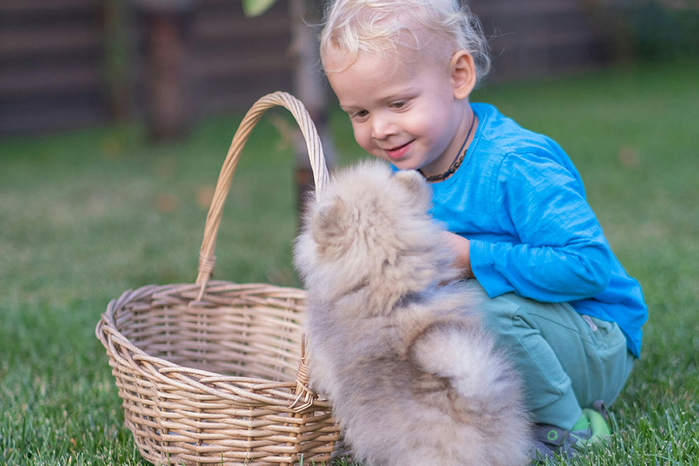 Waarom elk kind een harige vriend nodig heeft - Huisdieren verbeteren de gezondheid en het welzijn van kinderen op allerlei verschillende manieren.